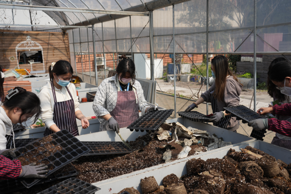 图为同学们在准备花肥
