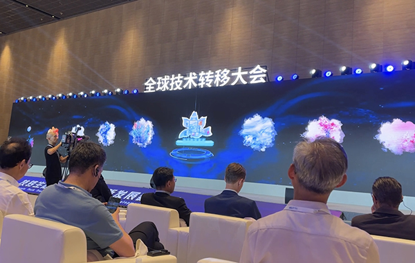 图为当代艺术家黄诗茹为上海市花白玉兰创作的白玉兰系列绘画作品数字藏品动态展示中