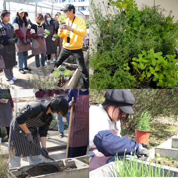 图为芳香植物疗愈活动花絮